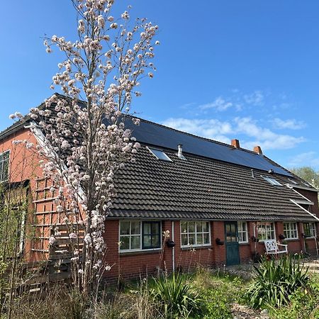 Hoeve Veganza B&B Vlagtwedde Buitenkant foto