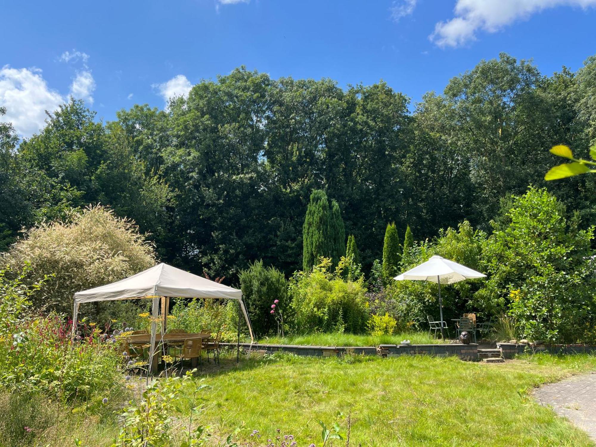 Hoeve Veganza B&B Vlagtwedde Buitenkant foto
