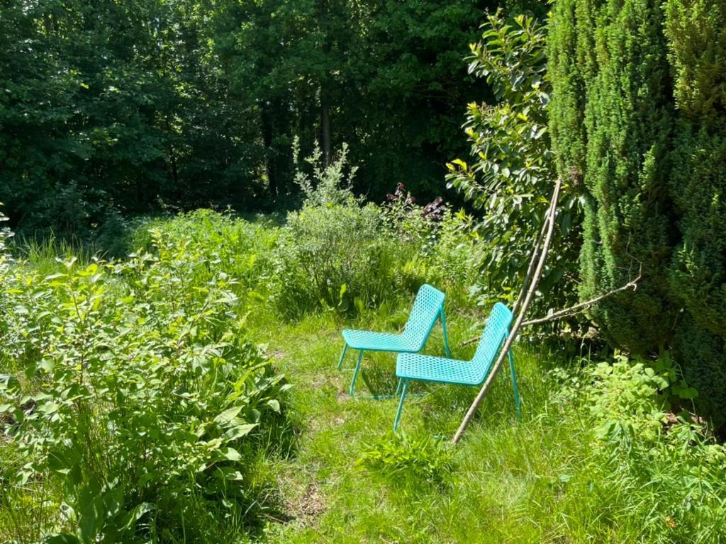 Hoeve Veganza B&B Vlagtwedde Buitenkant foto