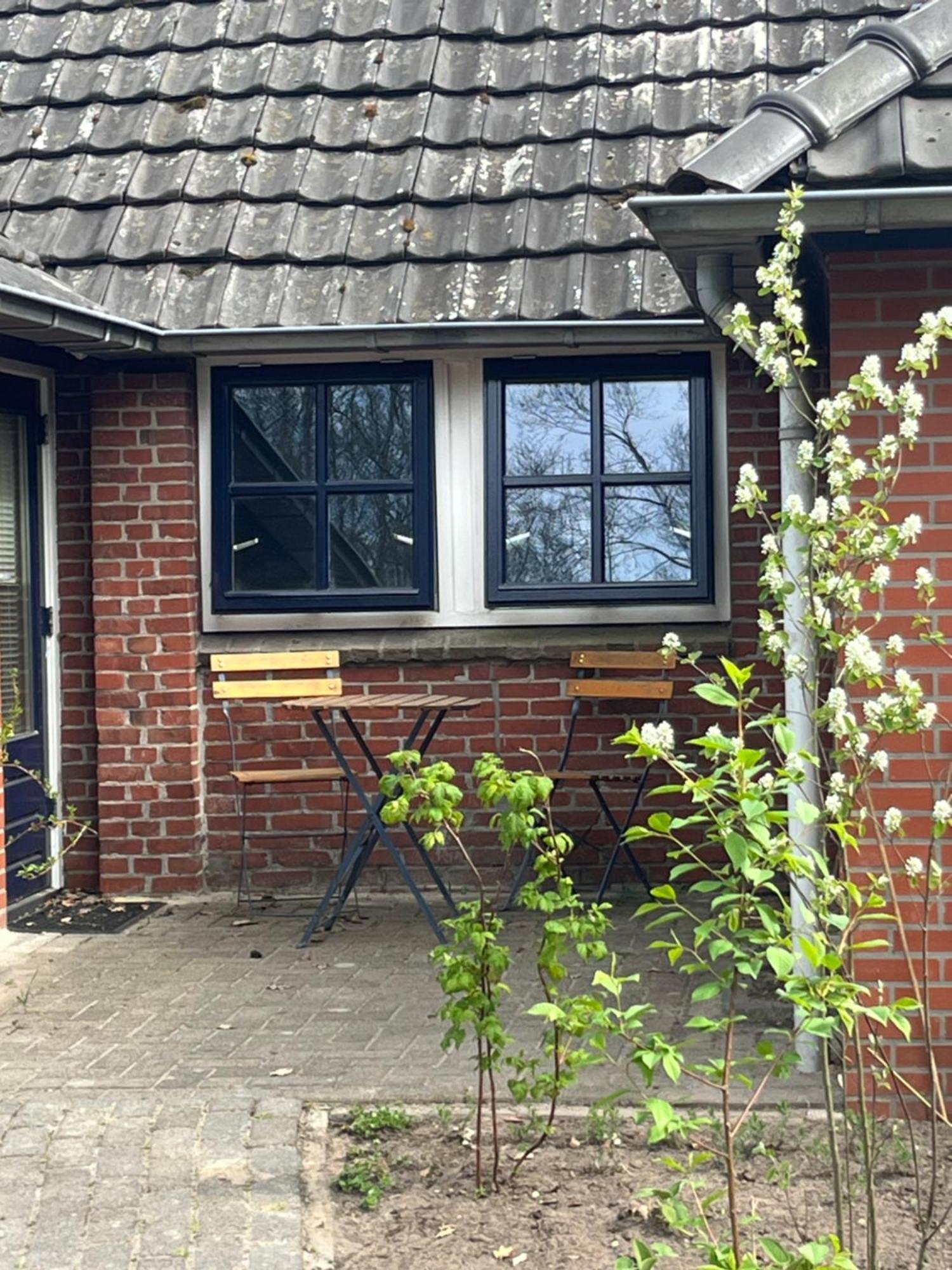Hoeve Veganza B&B Vlagtwedde Buitenkant foto