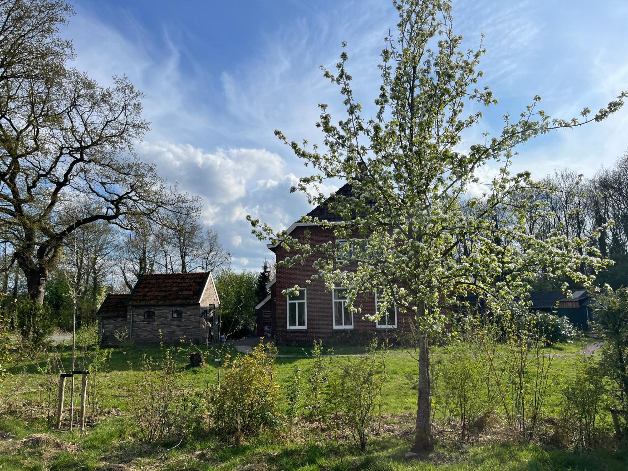 Hoeve Veganza B&B Vlagtwedde Buitenkant foto