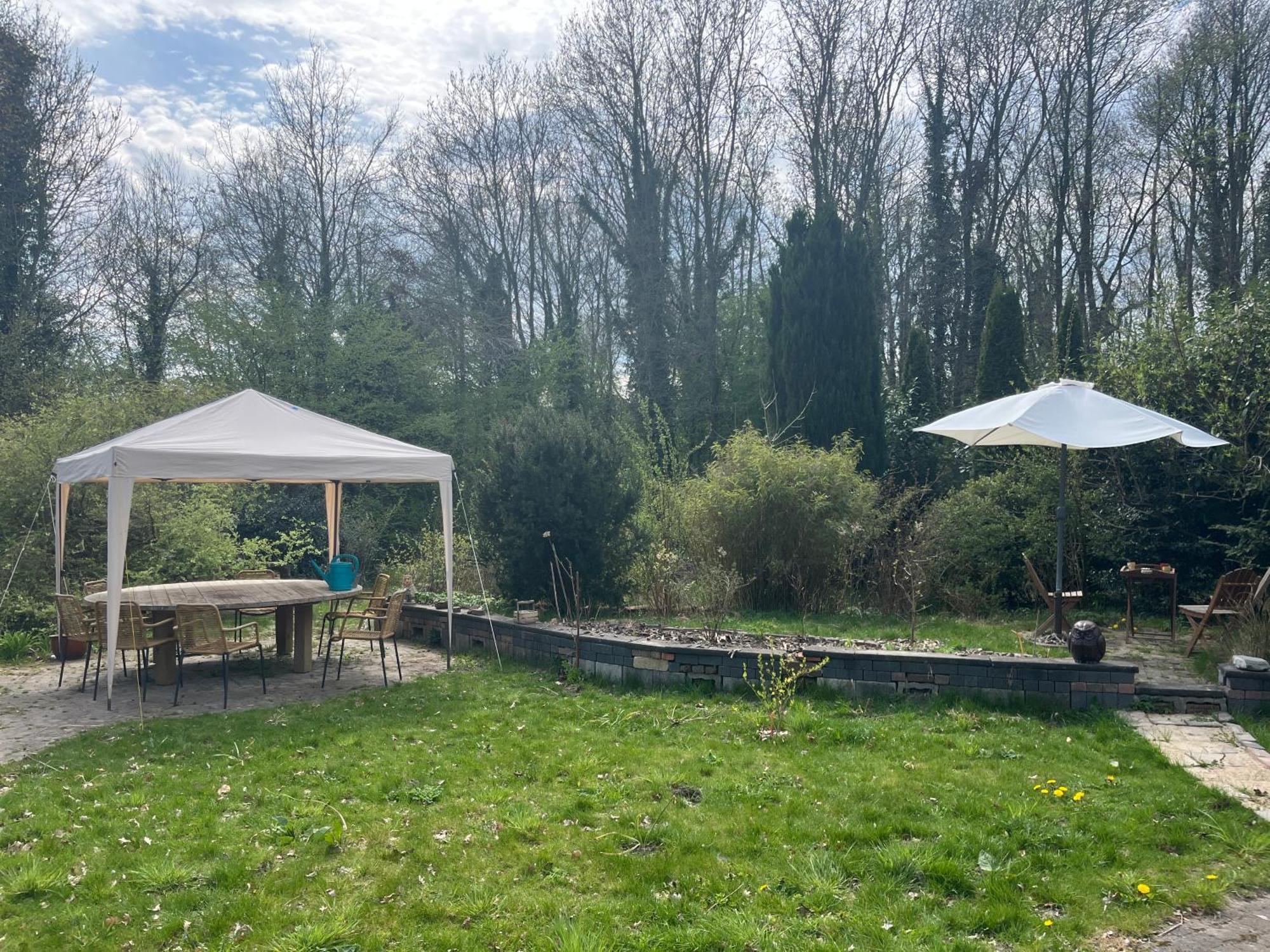 Hoeve Veganza B&B Vlagtwedde Buitenkant foto