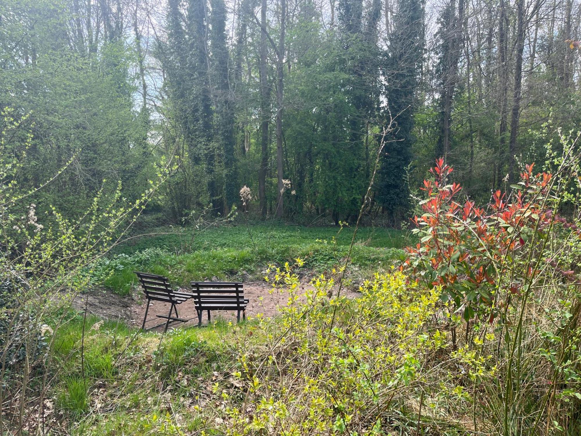 Hoeve Veganza B&B Vlagtwedde Buitenkant foto