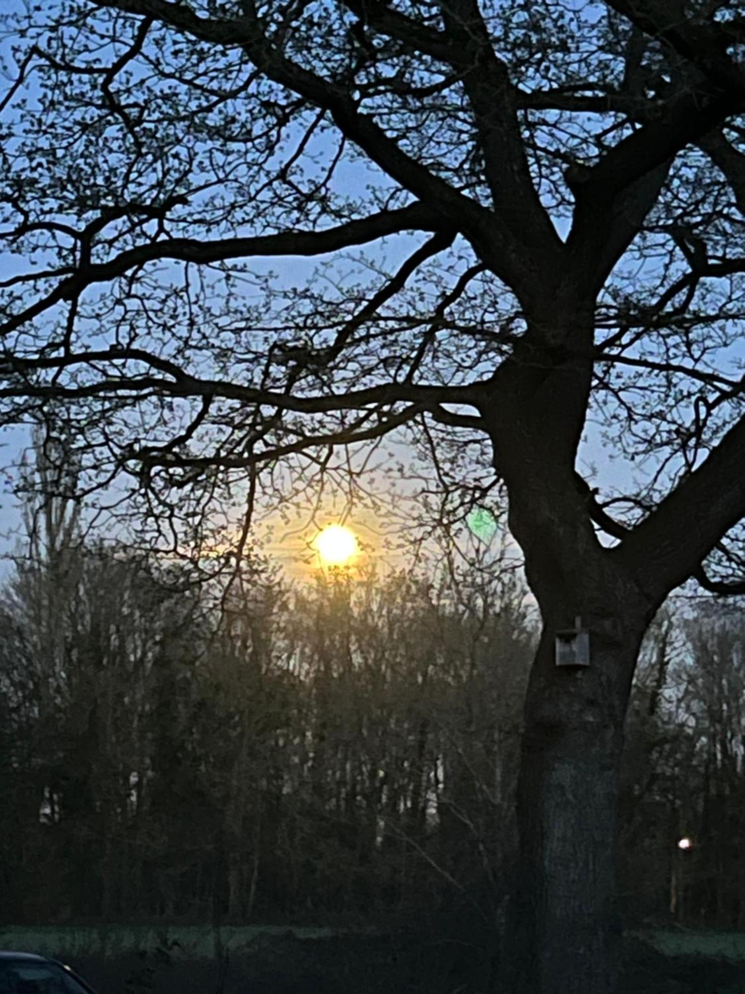 Hoeve Veganza B&B Vlagtwedde Buitenkant foto
