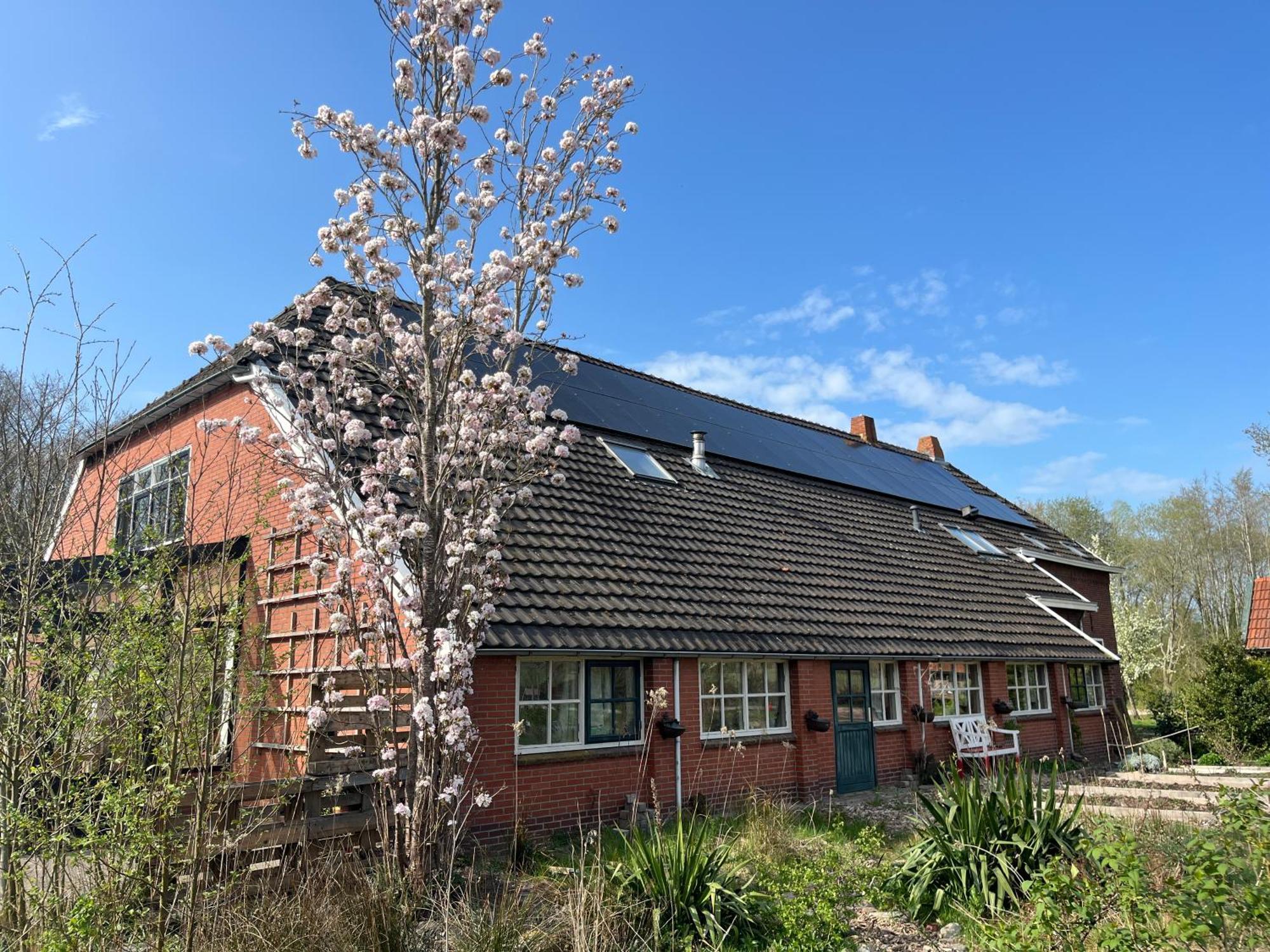 Hoeve Veganza B&B Vlagtwedde Buitenkant foto
