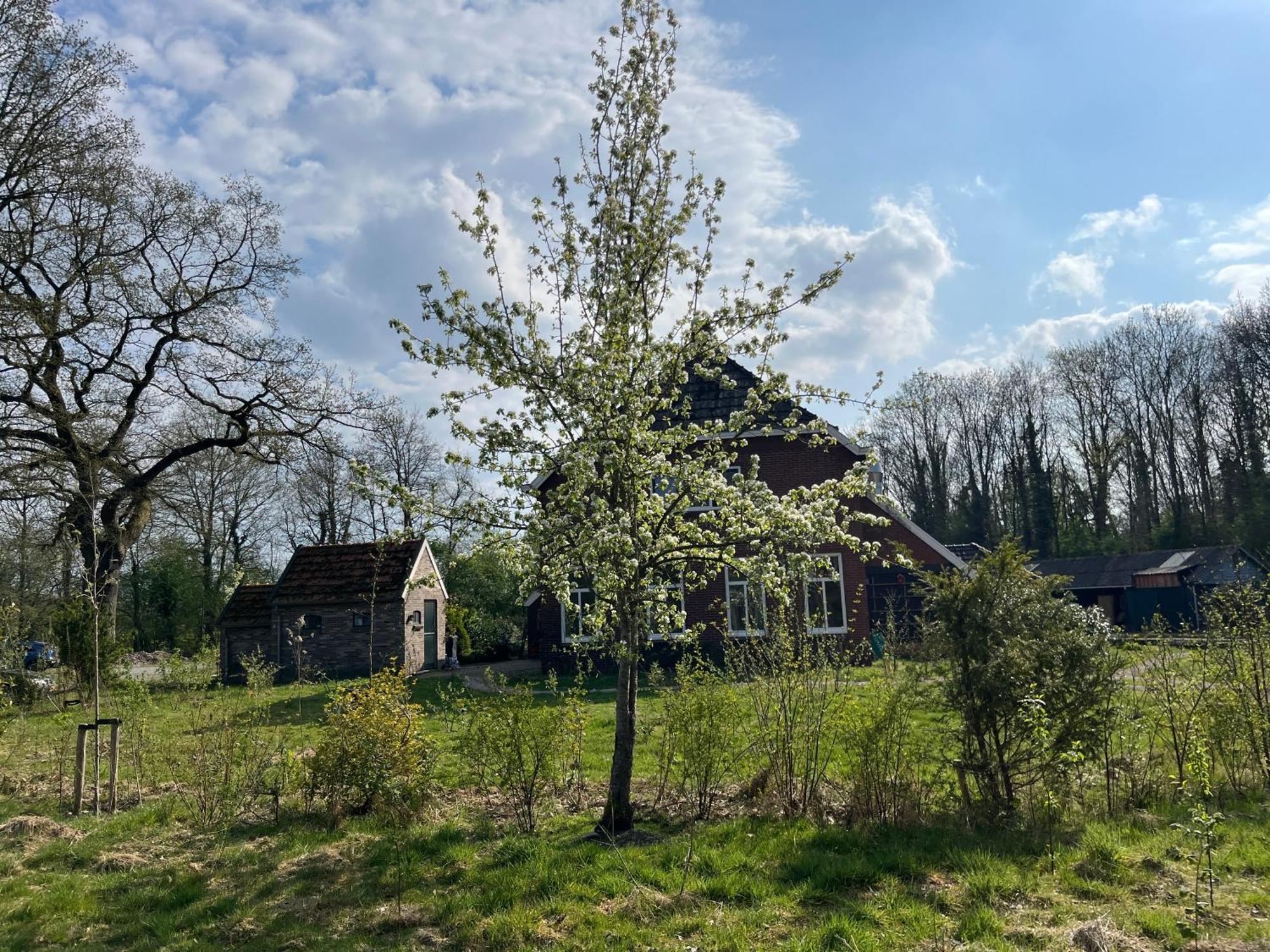 Hoeve Veganza B&B Vlagtwedde Buitenkant foto